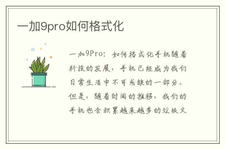 一加9pro如何格式化(一加9pro如何格式化u盘)